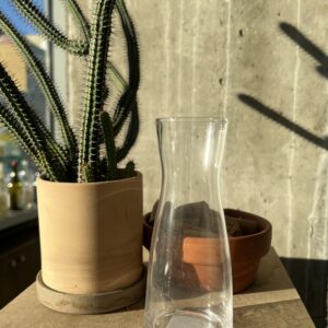 Wine Carafes 6oz (Set of 6)
