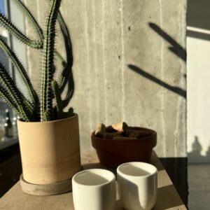 Porcelain Sake Glass - Cream Set of 4