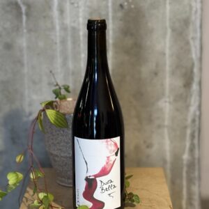Domaine de L' Octavin, Dorabella Arbois 2023